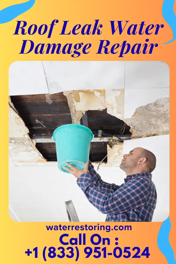 Roof Leak Water Damage Repair in St. Louis Park, MN