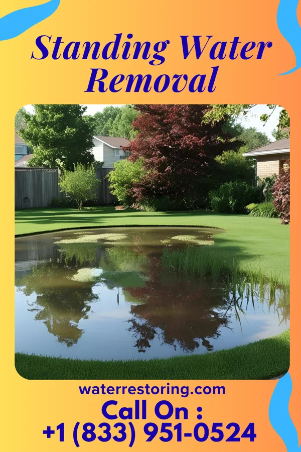 Standing Water Removal in St. Louis Park, MN